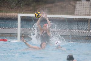 Image post by @Pwaterpolo on Twitter