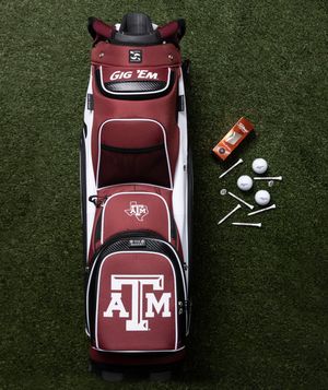 Image post by @12thMan on Twitter