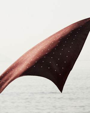 Image post by @loropiana on Instagram