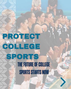 Image post by @hpusharks on Instagram