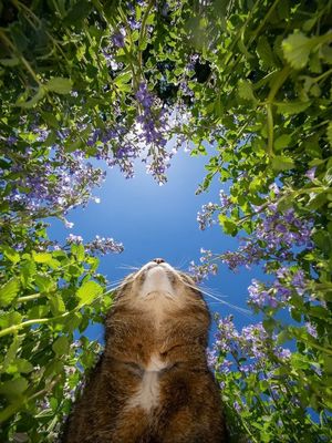 Image post by @fubiz on Instagram