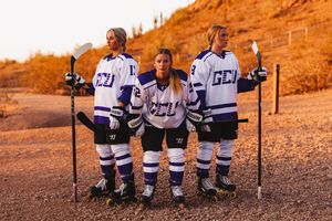 Image post by @lopeswhockey on Instagram