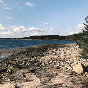 Image post by @themainemag on Instagram