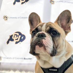 Image post by @cuboulderalumni on Instagram