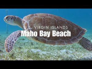Video post by @kcmikeadventures on YouTube