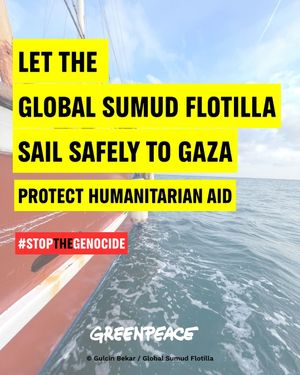 Image post by @greenpeace on Instagram