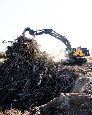 Image post by @aaronwitt on Instagram