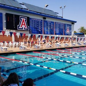 Image post by @arizonaswimdive on Instagram