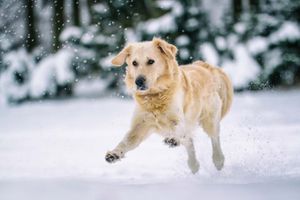 Image post by @weatherchannel on Twitter