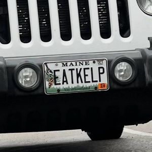 Image post by @atlanticseafarms on Instagram