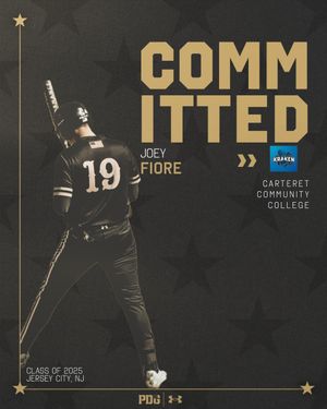 Image post by @pdgabaseball on Instagram