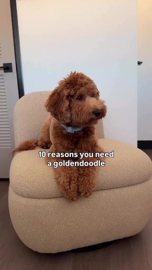 Video post by @tedflixnchill on TikTok