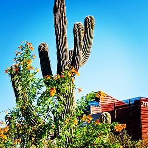 Image post by @arizonastateuniversity on Instagram