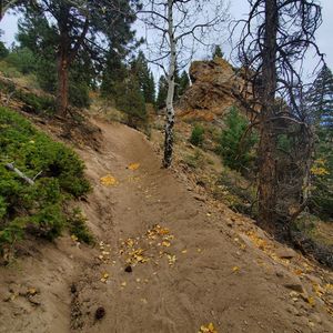 Image post by @blackdiamond_traildesigns on Instagram