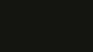 Image post by @lieandloft on Instagram