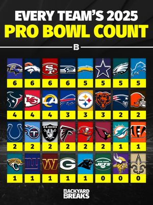 Image post by @backyardbreaks on Instagram