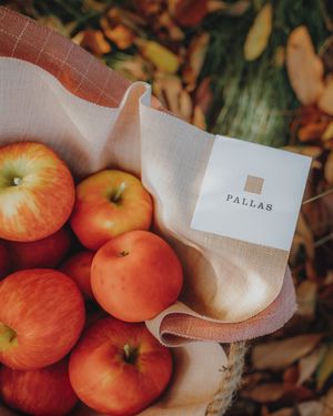 Image post by @pallastextiles on Instagram