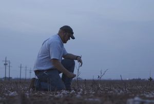 Image post by @txextension on Instagram