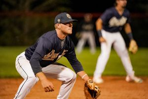 Image post by @OwlzNoCo on Twitter