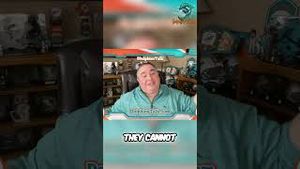 Video post by @dolphinstalk on YouTube