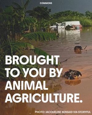 Image post by @commonsearth on Instagram