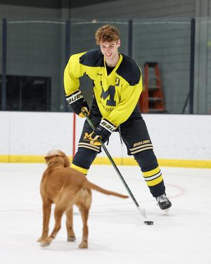 Image post by @umdearbornmhky on Instagram