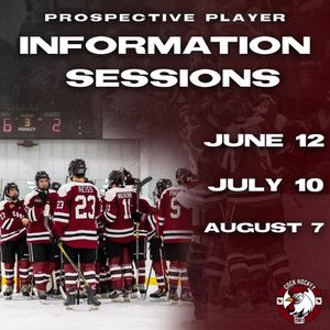 Image post by @cockhockey on Instagram