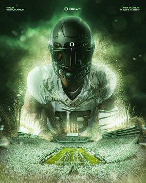 Image post by @goducks on Instagram