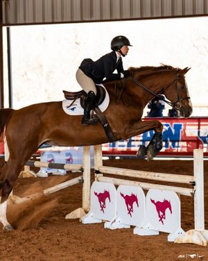 Image post by @smuequestrian on Instagram