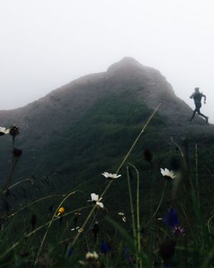 Image post by @scarpana on Instagram