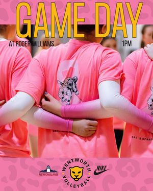 Image post by @witwvb on Instagram