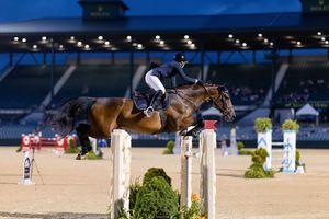 Image post by @kyhorseshows on Instagram