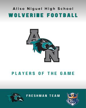 Image post by @aliso_football on Instagram