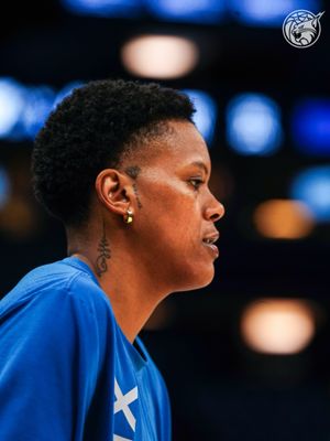 Image post by @minnesotalynx on Instagram