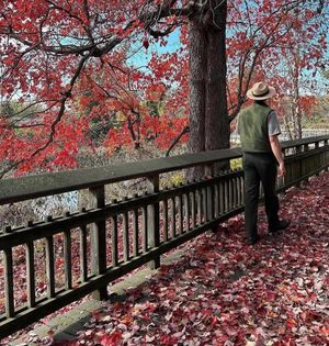 Image post by @nationalparkservice on Instagram