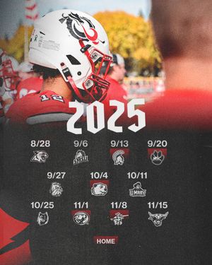 Image post by @msum_football on Instagram