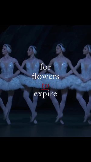 Video post by @spirocoded on TikTok