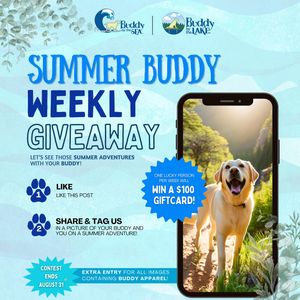Image post by @shop_buddybythesea on Instagram