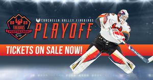 Image post by @Firebirds on Twitter