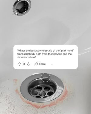 Image post by @clorox on Instagram