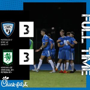 Image post by @lionsbridgefc on Instagram
