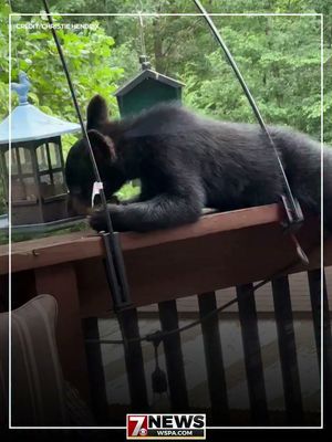 Video post by @wspatv on Facebook