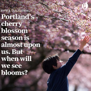 Image post by @theoregonian on Instagram