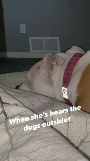 Video post by @brettjcoffey on Instagram