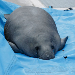 Image post by @cmaquarium on Instagram