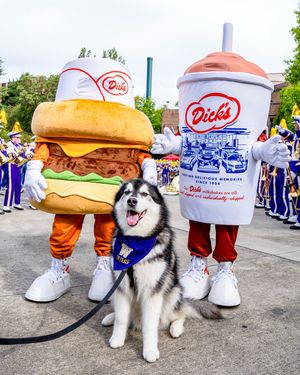 Image post by @uwathletics on Instagram