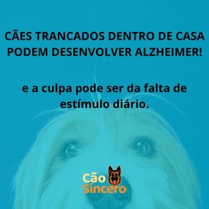 Image post by @adestradores.caosincero on Instagram