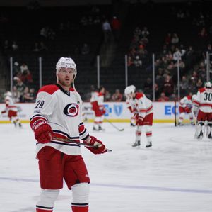 Image post by @canes on Instagram