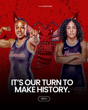 Image post by @andscape on Instagram