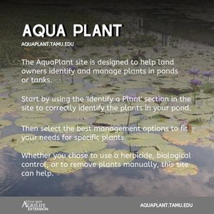 Image post by @txextension on Instagram
